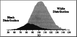 IQ Distribution